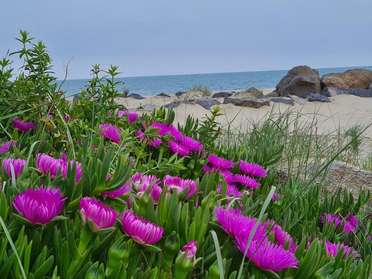 Camping Les Sables D'Or Cap D'Agde Le Grau-dʼAgde Eksteriør billede